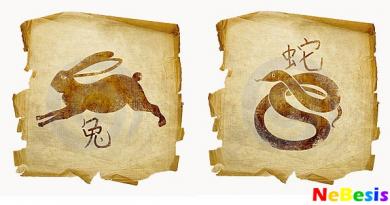 Compatibility of the Rabbit in a love relationship Cancer the snake man returns the girl the maiden rabbit