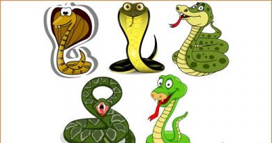 Mythological snake 5 letters