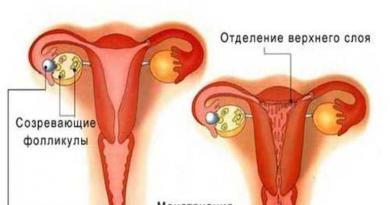 Первые признаки начала месячных у девочки