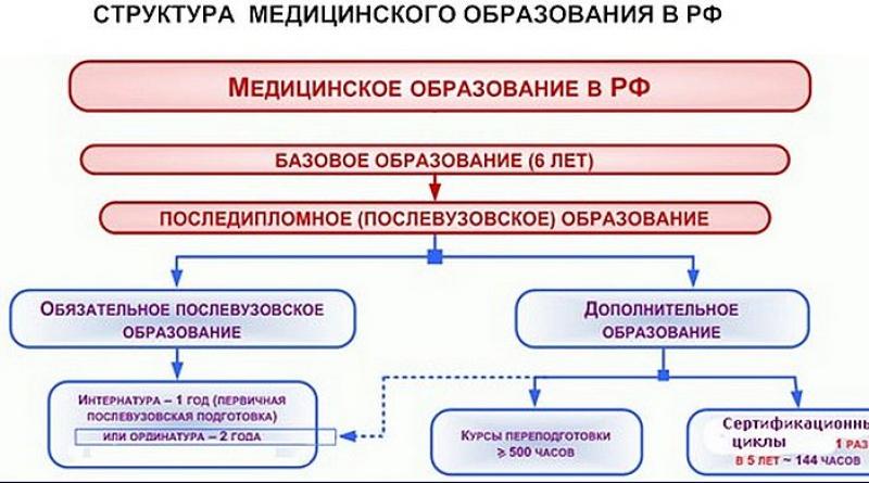 Структура высшего образования в россии схема