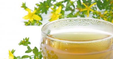 Application of decoction of St. John's wort and contraindications
