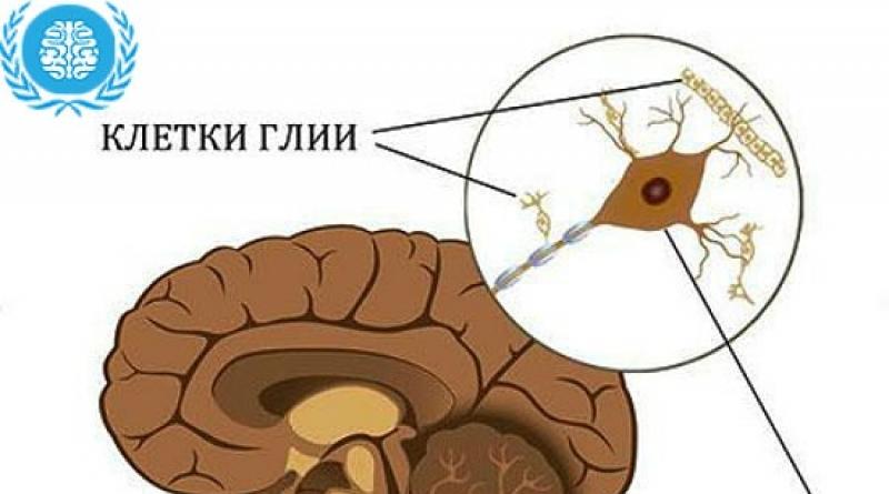 Glioza mozga: simptomi, lezije, liječenje, prognoza
